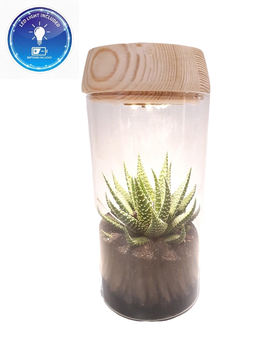 <h4>LV18 Glasvaasje + houtdeksel en LED</h4>