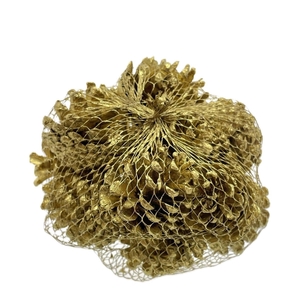 Dennenappels Oostenrijkers x10