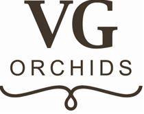 <h4>Phal op Kleur 3T18+</h4>