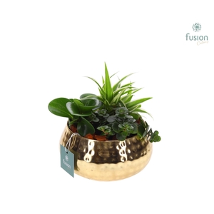 Schaal Indian metaal goudkleurig met groene planten