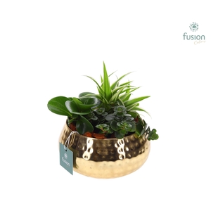 Schaal Indian metaal goudkleurig met groene planten