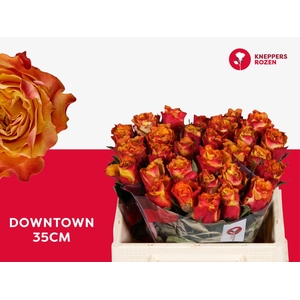 R GR DOWNTOWN! 35