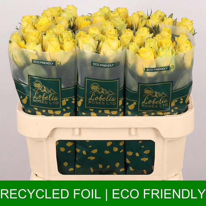 <h4>R GR GOOD TIMES</h4>