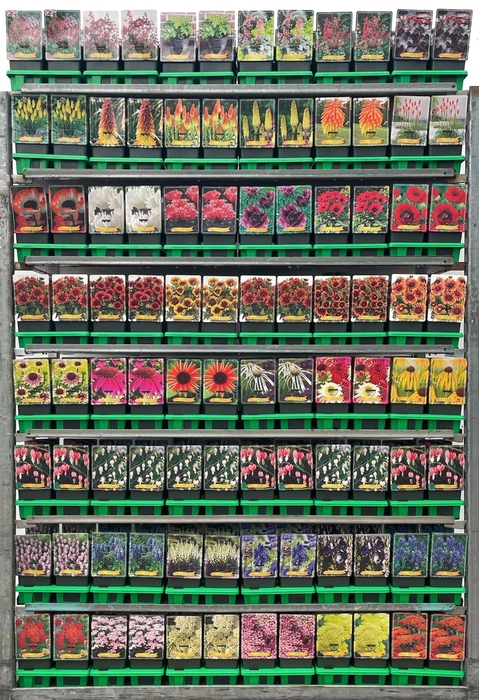 <h4>Vaste planten mixkar</h4>