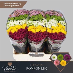 Chr San Pompo Gem Bs