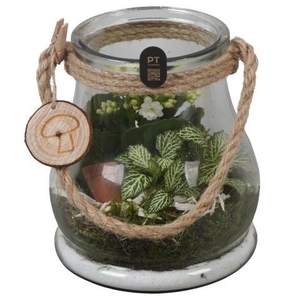 PTHG8294 Arrangement Autumn Glass in glazen vaas