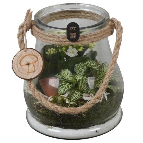<h4>PTHG8294 Arrangement Autumn Glass in glazen vaas</h4>