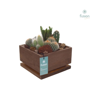 The Lighting Garden LED vierkant donker bruin Large met Cactussen
