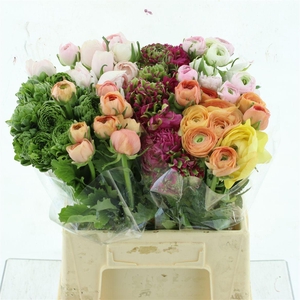 Ran Cloni Pon Mix In Bucket