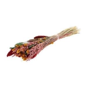 Bunch Dutch Grass Cheerful