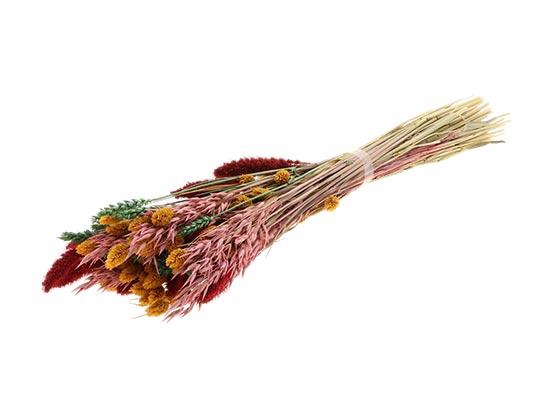 Bunch Dutch Grass Cheerful