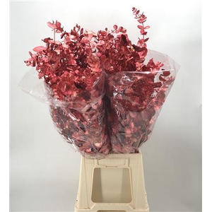 Col Cinerea Red Metal