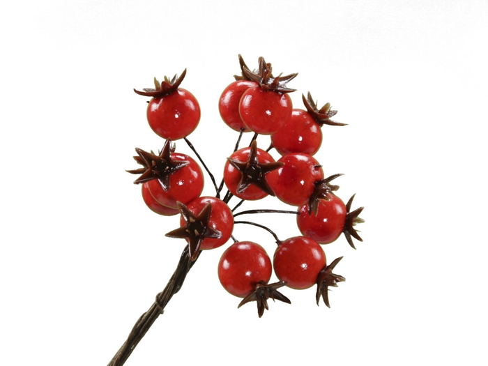 <h4>Autumn Berry/wire d1.8cm x72</h4>