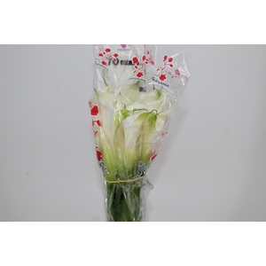 COPO DE LEITE BRANCO 070 CM