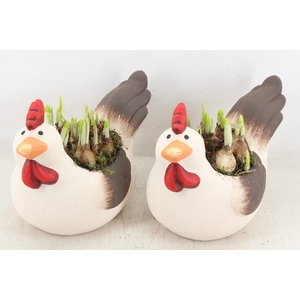 arr4 Narcis PL - Keramiek kip 285/6