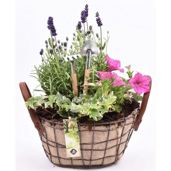 <h4>Gaasmand ovaal met jute 25x20cm</h4>