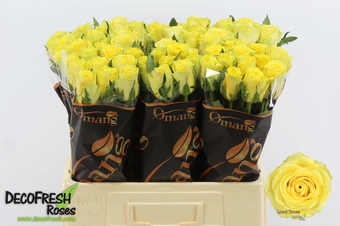 <h4>R GR Good Times</h4>