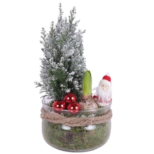 Christmas Arr. Outdoor Glass Bowl with Rope Ø16cm 2PP