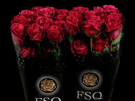 <h4>R Gr Roseberry</h4>