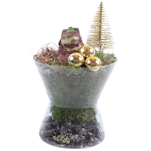 <h4>Christmas Arr. Amaryllis Glass Hourglass Ø16cm 1PP</h4>