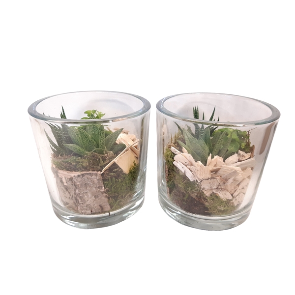 <h4>913 GMX / GCI14GMX Cil glas dik mini groenmix + deco naturel</h4>