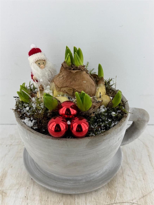 <h4>Arr (18) Kop En Schotel</h4>