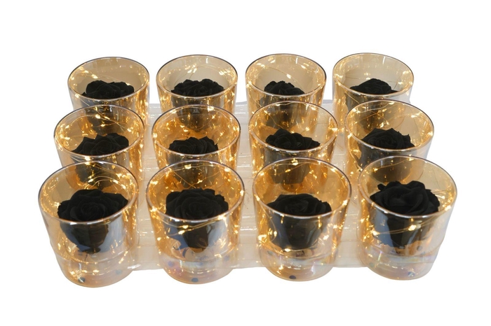 <h4>ARR ROSA POT H%</h4>