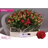 Paeo Red Charm