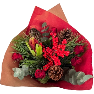 Bq Xmass Rednose Reindeer