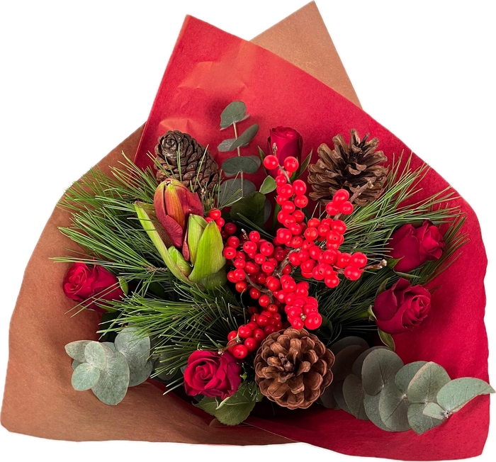 <h4>Bq Xmass Rednose Reindeer</h4>