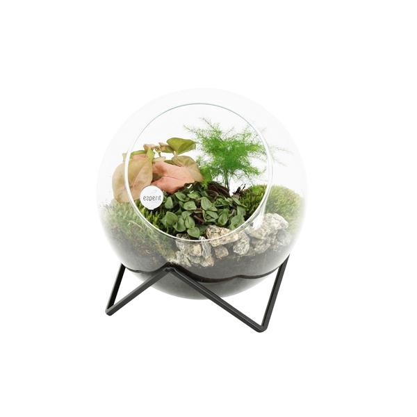 <h4>41318: Leafs arrangement</h4>