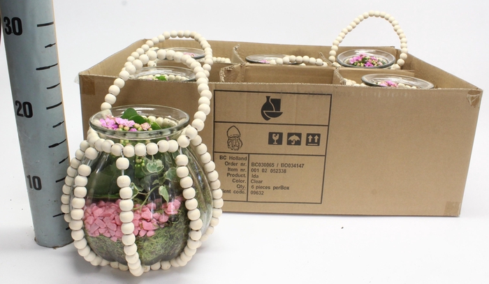 <h4>ARR PL IN SCHAAL</h4>