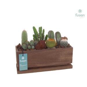 The Lighting Garden LED lang donker bruin Medium met Cactussen