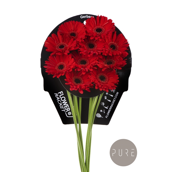 <h4>GrGe Ladies First flowerracket</h4>