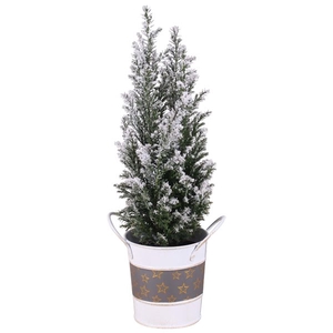 Christmas Arr.Conifer Zinc Pot round star design ø10cm 1PP