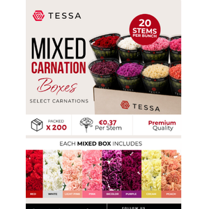 DI ST MIX TESSA