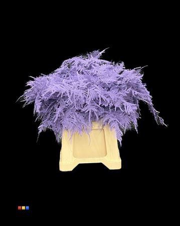 <h4>Asp 1e Milka</h4>