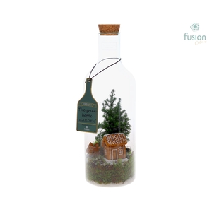 Green Bottle Fles Medium Kerst met Chamaecyparis