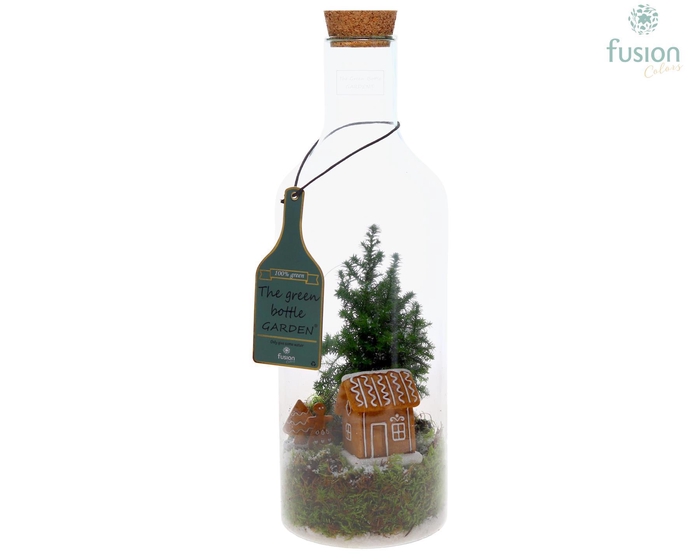 <h4>Green Bottle Fles Medium Kerst met Chamaecyparis</h4>