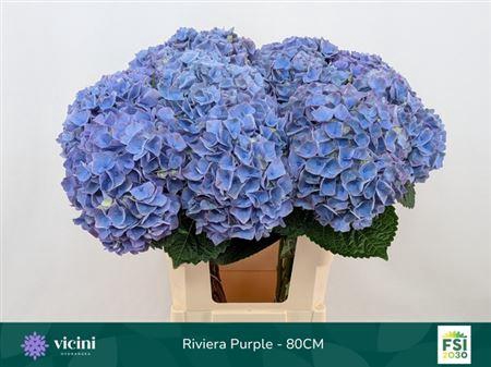 <h4>Hydr M My Riviera 80cm</h4>