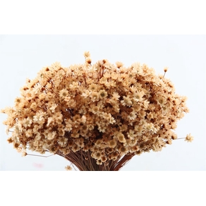 Dried Glixia Salmon Bunch