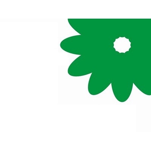 Bamboo lucky spiral + toef