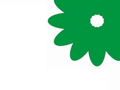 Cape green abrotanum