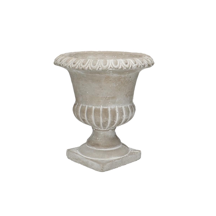 <h4>Zelbio coupe d16*18cm</h4>