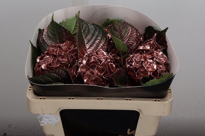 <h4>Hydr Wx 50cm Koper</h4>