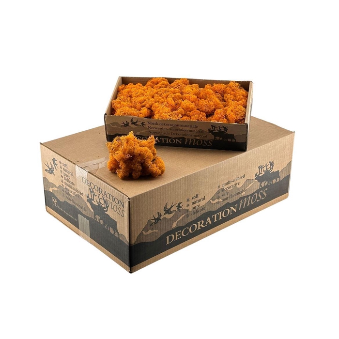 <h4>Ijslandsmos Oranje</h4>