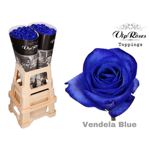 R GR VENDELA BLUE