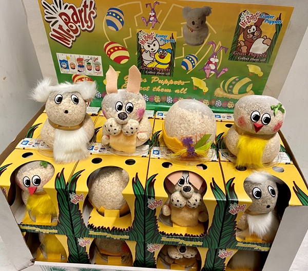 Mr. Bart Pasen Groot