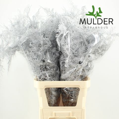 <h4>ASP OV KLB H%</h4>