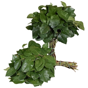 ŽAL SALAL TIPS